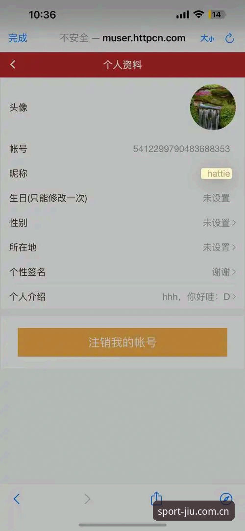 九体育官方站新版本详解：一次针对中文用户的界面重构说明